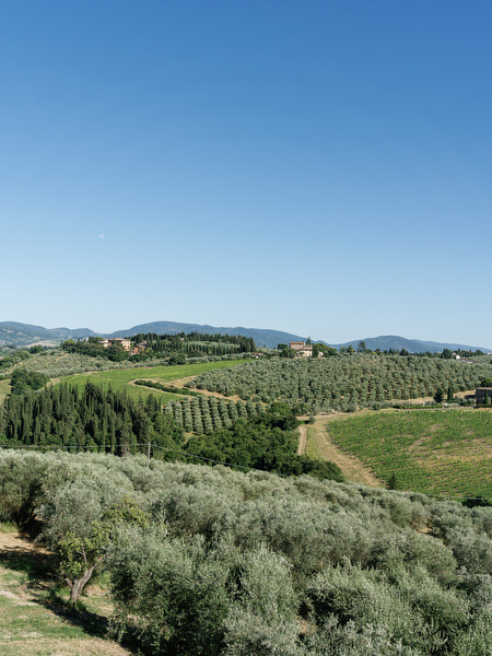 Tuscan countryside views surrounding Villa Corsini, romantic destination wedding setting in Florence, Italy.
