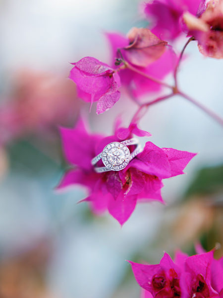 Engagement ring photographed on bougainvillea in Antiparos.