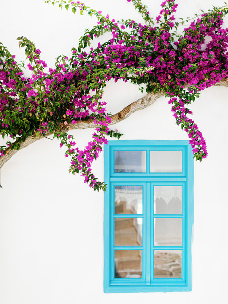Turquoise window with bougainvillea in Antiparos, Greek island setting.