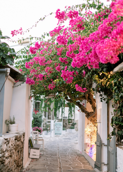 Bougainvillea alley in Antiparos Greece for destination wedding.