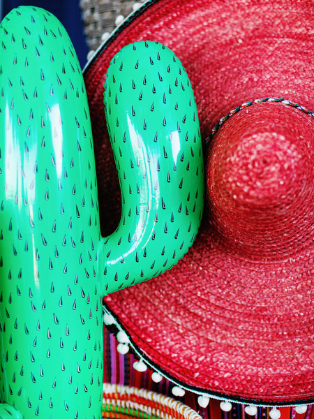 Cactus and sombrero decorations at Mexican fiesta pre-wedding party