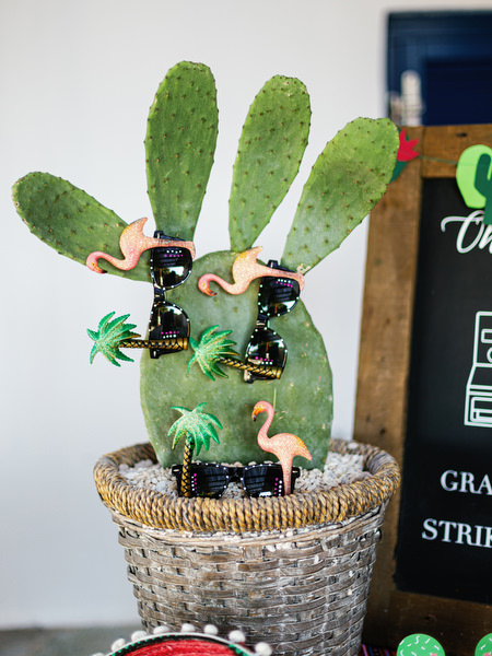 Succulent plants and fiesta decor at Antiparos pre-wedding celebration