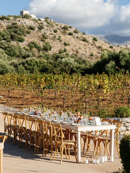 Destination wedding reception at Aria Estate with mountain views