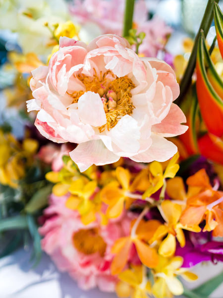 Colorful floral centerpiece during Indian wedding brunch in Athens